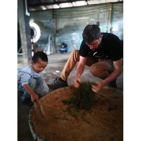 Tea oolong Yabukita Thaiföld 50g