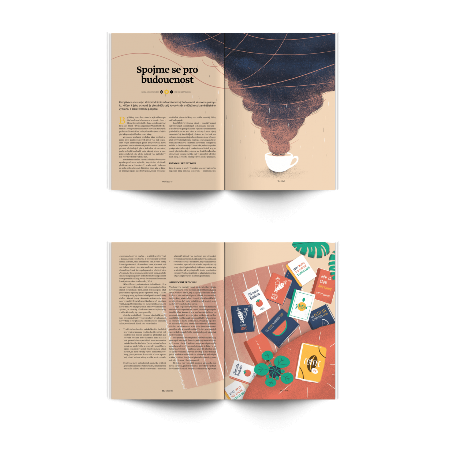 Standart Magazin No. 13