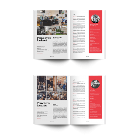 Standart Magazin No. 13