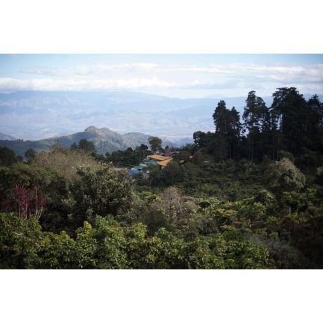 Nordbeans Guatemala FEHÉR Zászló 200g