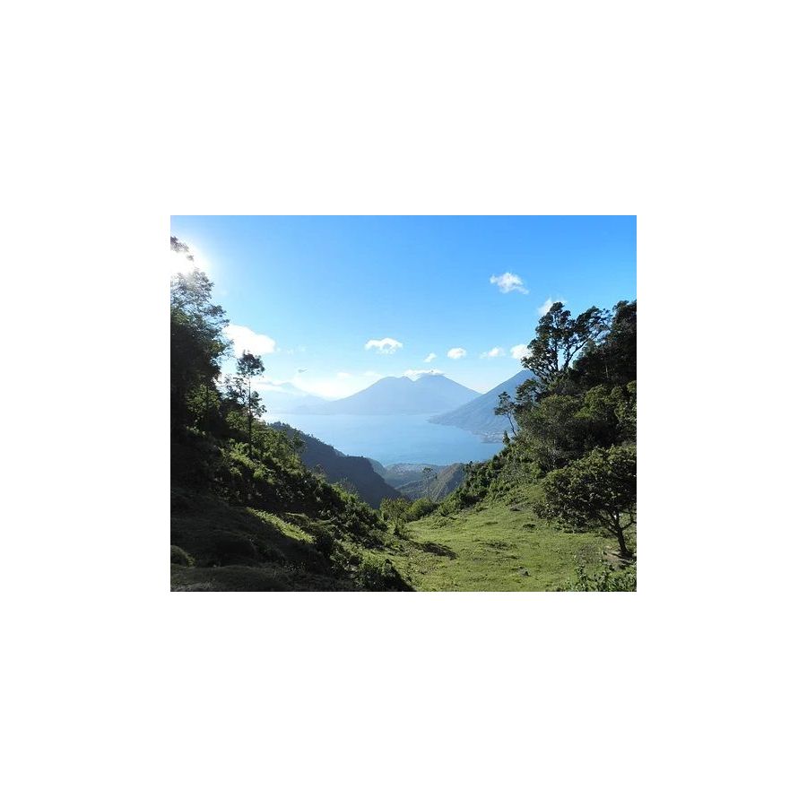 A bányászok Guatemala Primavera DECAF 250 g