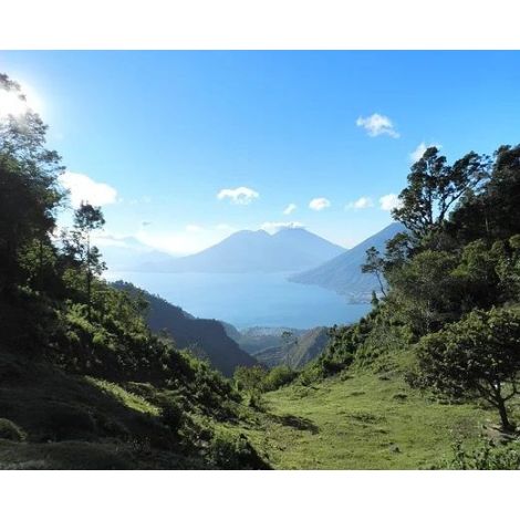 A bányászok Guatemala Primavera DECAF 250 g