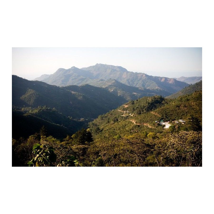 Guatemala Trés Maria, szemes arabica kávé