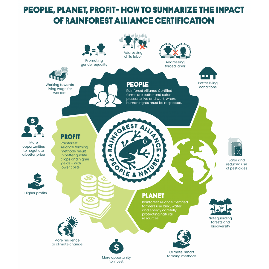 Brazília Fazenda Rainforest, szemes arabica kávé
