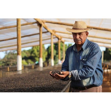 Nordbeans Brazil Sao Silvestre 200g