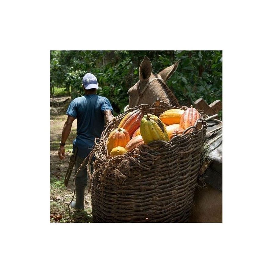 Michel Cluizel Arcango Grand Noir csokoládé 85%