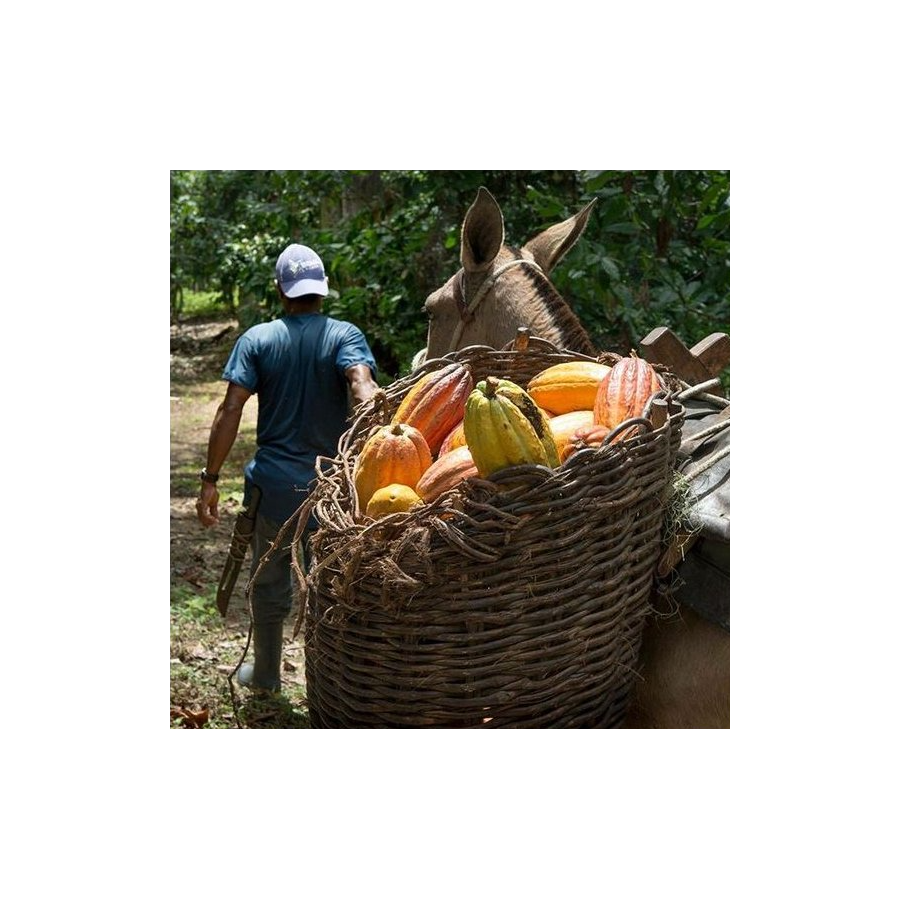 Michel Cluizel csokis doboz "8 Cappuccino"