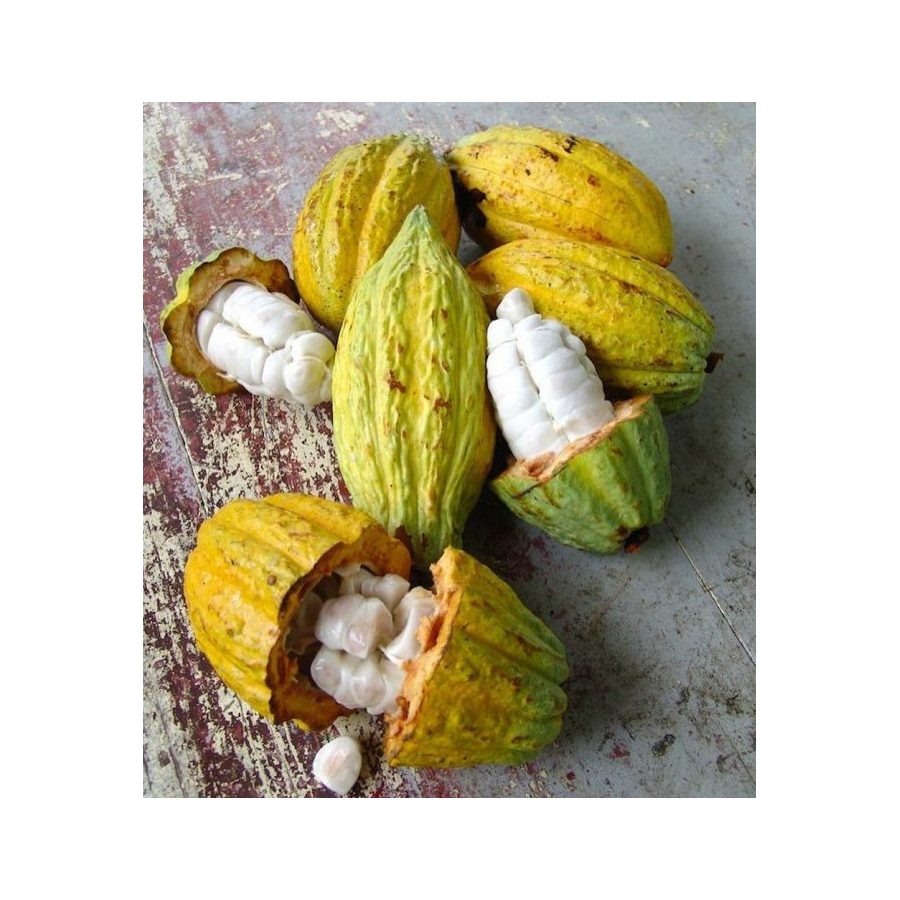 Michel Cluizel csokis doboz "8 Cappuccino"