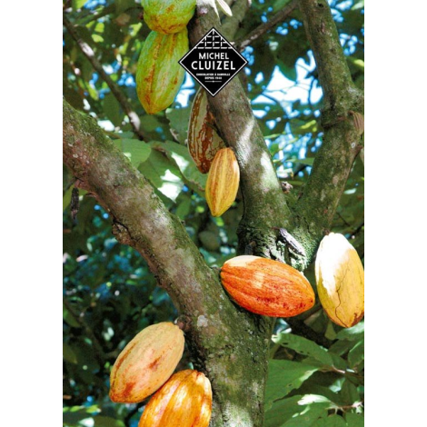 Michel Cluizel csokis doboz "8 Cappuccino"