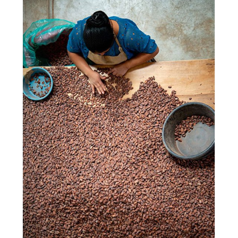 Michel Cluizel csokis doboz "8 Cappuccino"