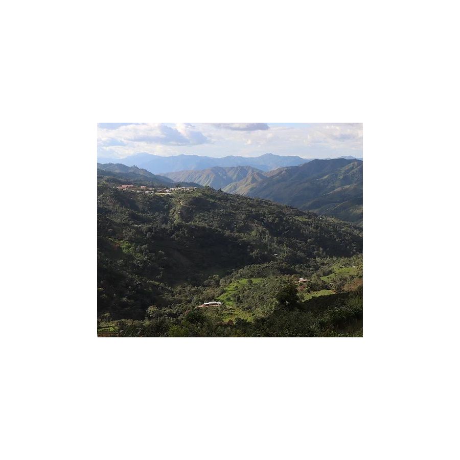 The Miners Peru Jacinto Jara 250 g
