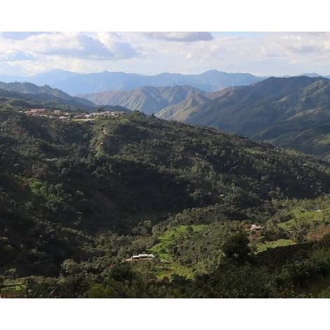 The Miners Peru Jacinto Jara 250 g