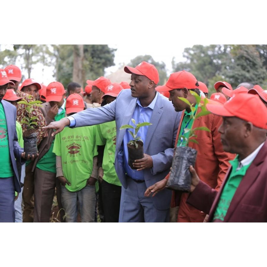 Nordbeans Etiópia Hamasho natúr 250g