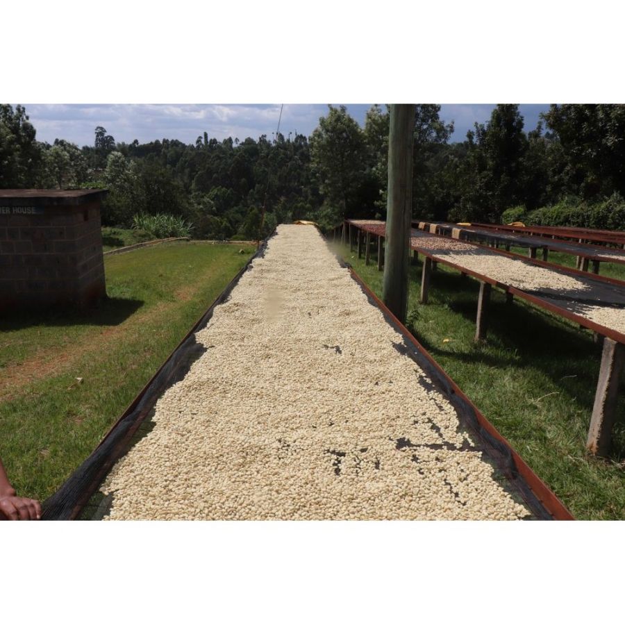 Fiftybeans Kenya Riakiberu, 200g