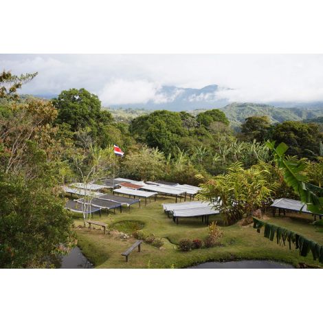 Nordbeans Costa Rica Funky 250g