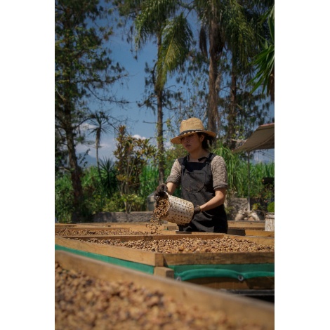 GourmetCoffee Specialty - Mexikó SV Kitos 250g