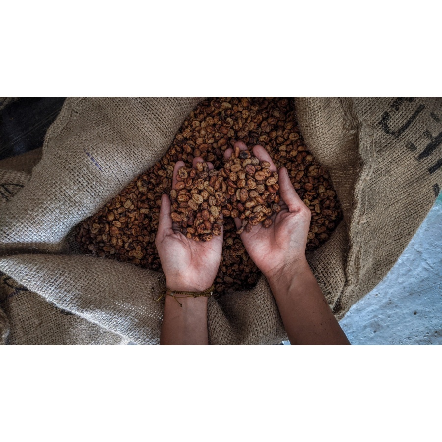 GourmetCoffee Specialty - Mexikó SV Kitos 250g