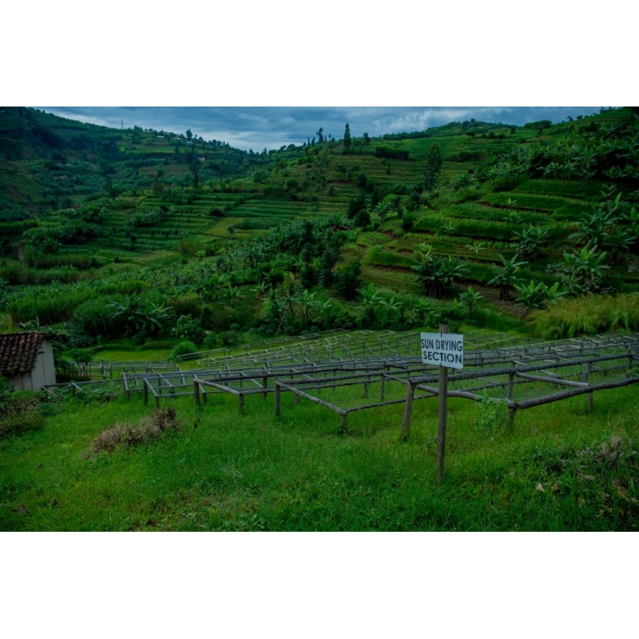 GourmetCoffee Specialty - Ruanda Ngororero 250g