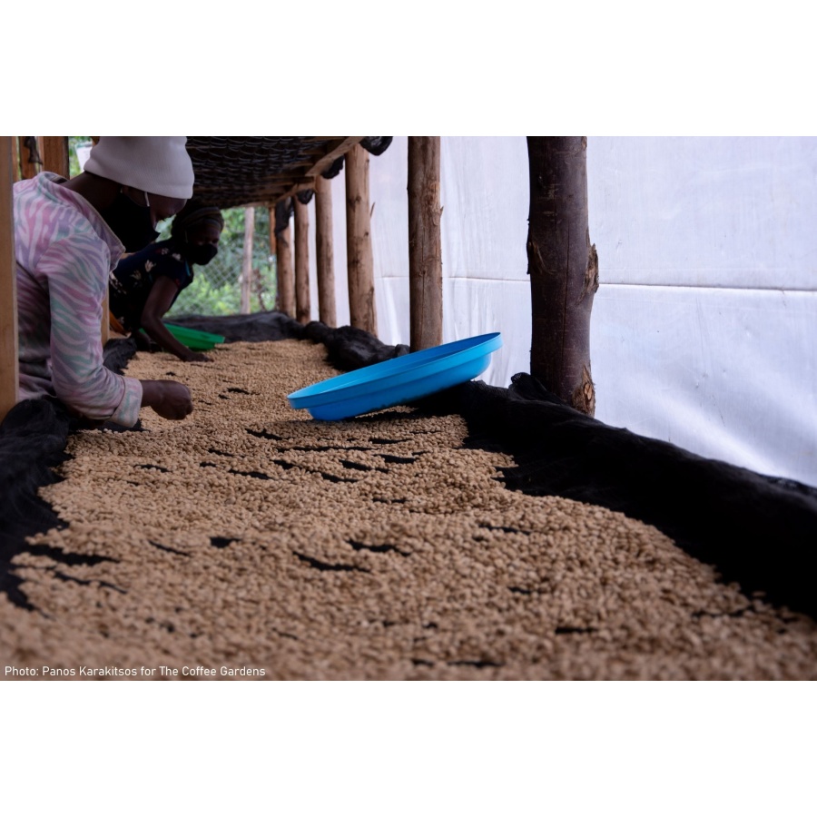 GourmetKávé Specialty Uganda Buwobodeya 250g