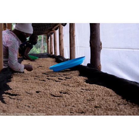 GourmetKávé Specialty Uganda Buwobodeya 250g