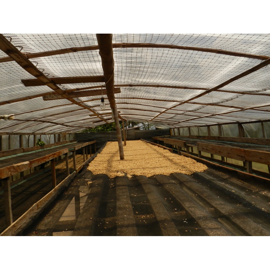 GourmetCoffee Specialty Colombia Tumbaga DECAF  250g