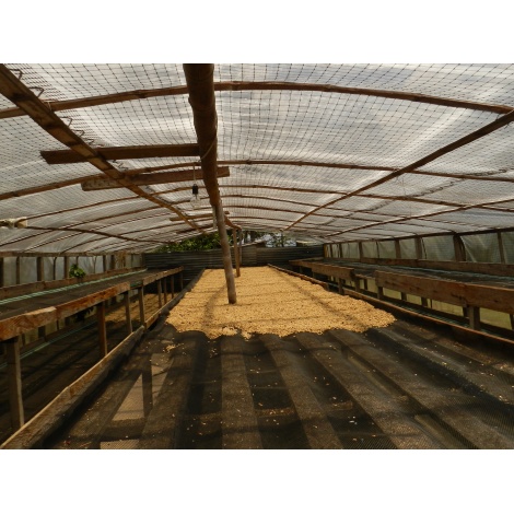 GourmetCoffee Specialty Colombia Tumbaga DECAF  250g