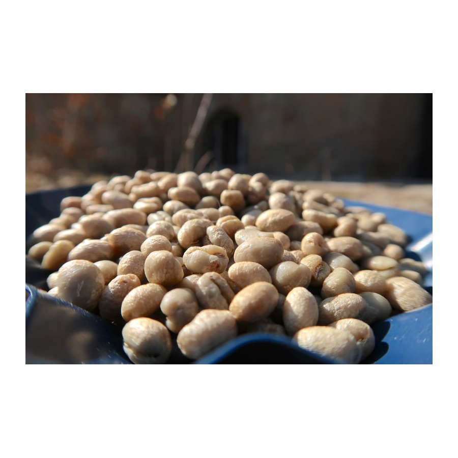 GourmetCoffee Specialty Kenya Wamuguma PB 250g