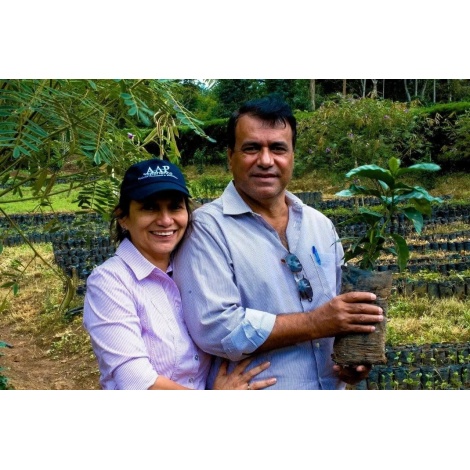 Beansmiths Nicaragua - Finca Aurora, 250g