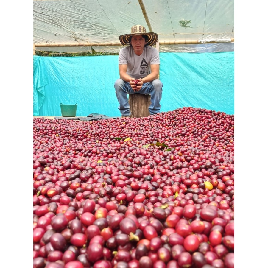 GourmetCoffee Specialty Colombia El Agrado méz 250g