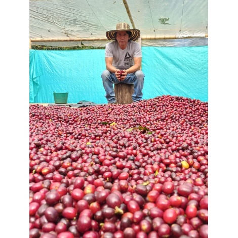 GourmetCoffee Specialty Colombia El Agrado méz 250g