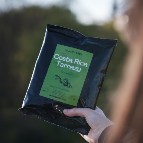 Costa Rica Tarrazu, arabica kávébab 2