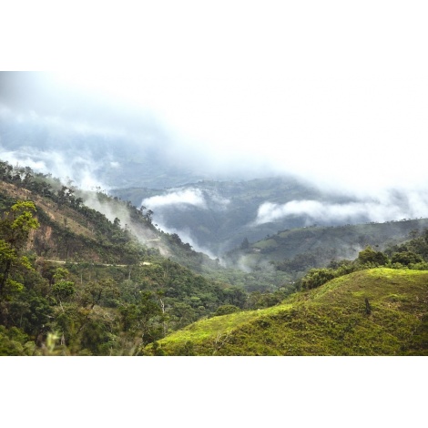 GourmetCoffee Specialty - Peru T. Sachez 250g