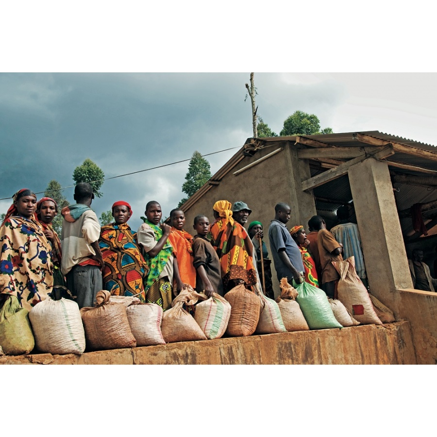 Könyv: Hoffmann - 2. kiadás (EN)