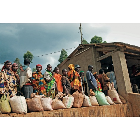 Könyv: Hoffmann - 2. kiadás (EN)