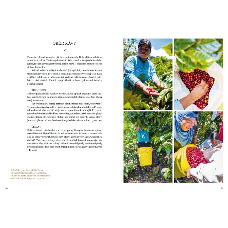 A kávé nagy könyve - Petra Veselá