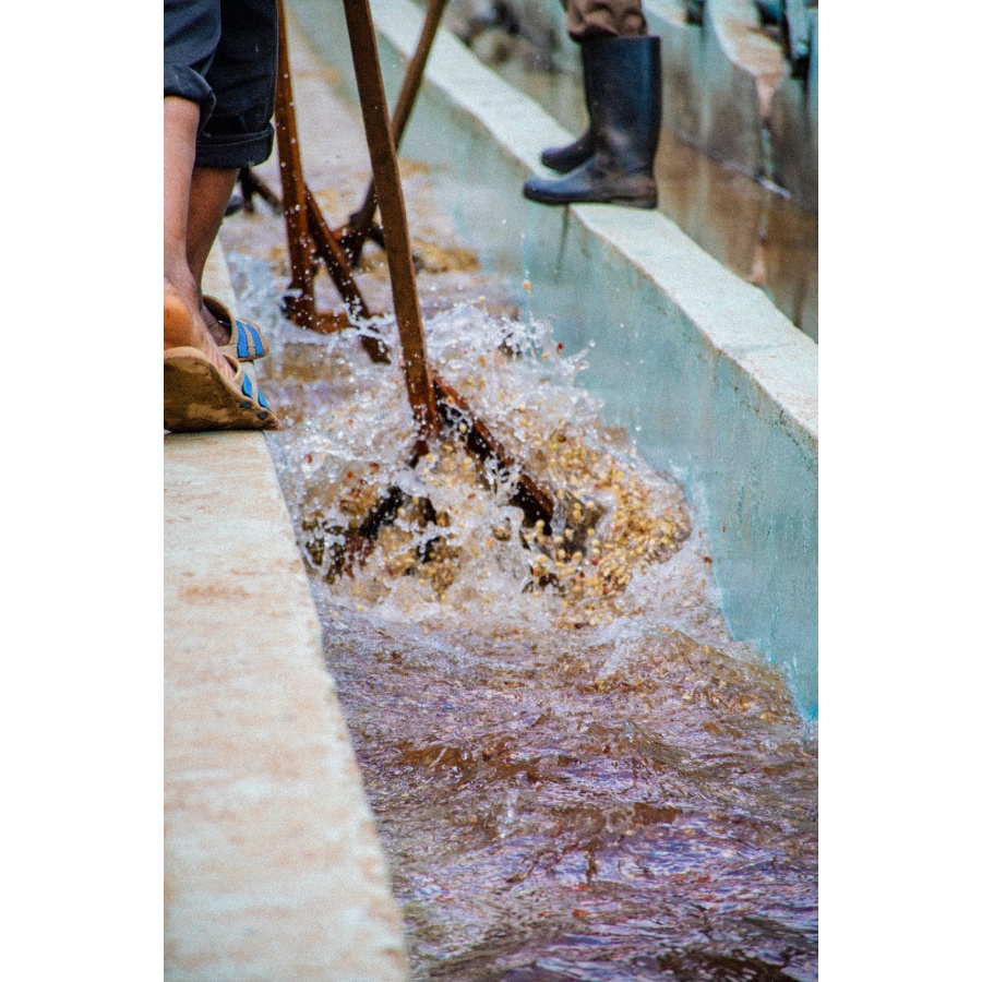 GourmetCoffee Specialitás Kenya Baragwi - Guama AA 250g