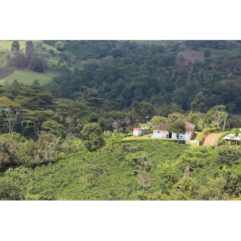 GourmetCoffee Specialitás Kolumbia EL SILENCIO 250g