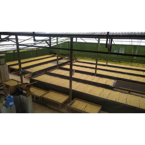 GourmetCoffee Specialty Peru Monterverde 250g