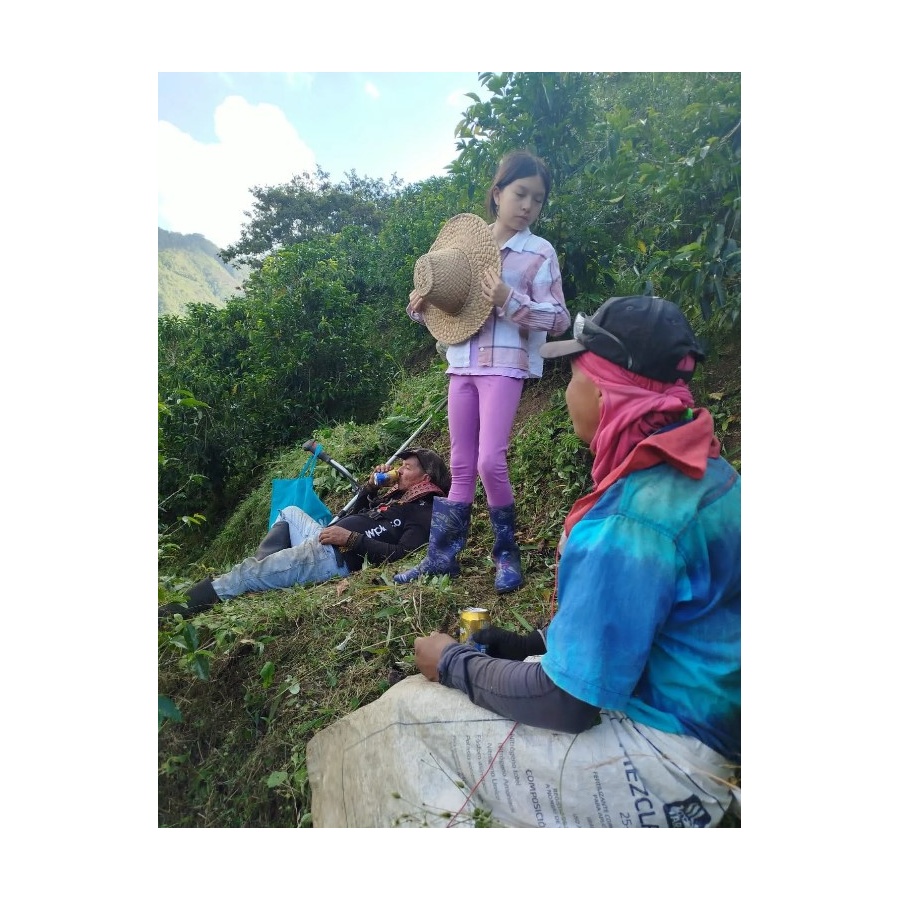 GourketCoffee Specialty Columbia D. Sambony 250g