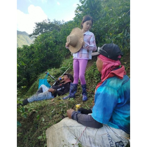 GourketCoffee Specialty Columbia D. Sambony 250g