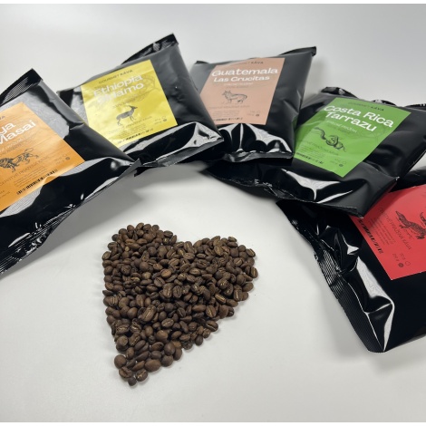 Kenia: Top Masai, ziarna kawy Arabica, średnie palenie