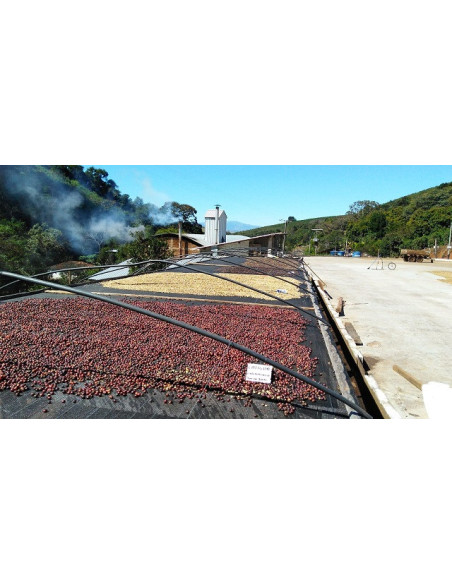 GourmetCoffee Specialty Brazília Freitas ESP 250g