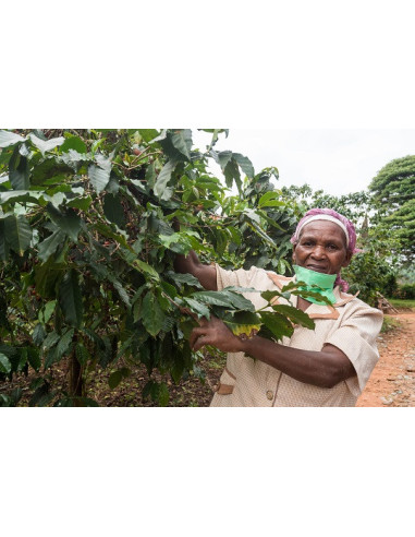 GourmetCoffee Specialty - Kenya Nyeri 250g