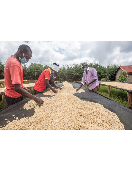 GourmetCoffee Specialty - Kenya Nyeri 250g