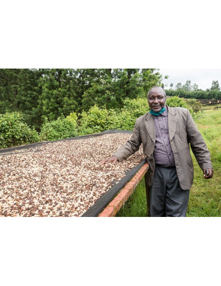 GourmetCoffee Specialty - Kenya Nyeri 250g