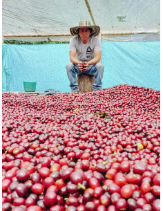 Fathers Coffee Kolumbia Inza 250 g 2