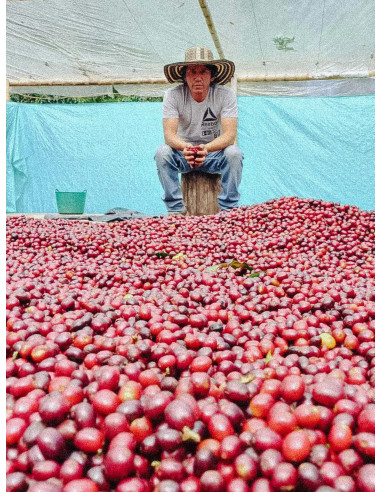 Fathers Coffee Kolumbia Inza 250 g