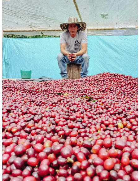 Fathers Coffee Kolumbia Inza 250 g