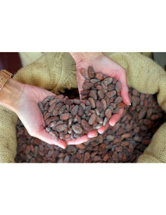 Bonnat Noisettes 55%-os mogyorós tejcsokoládé Bonnat Noisettes 55% mogyoróval 2