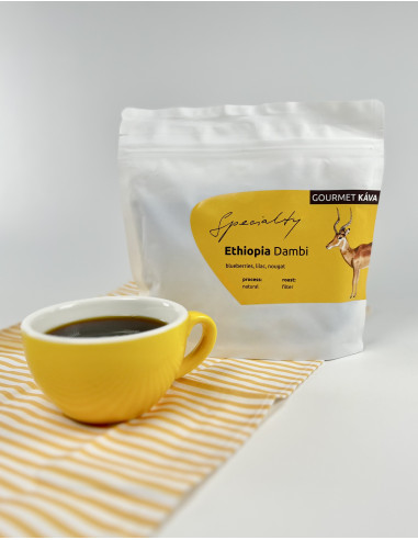 GourmetCoffee Specialty Etiópia Dambi Natural 250g